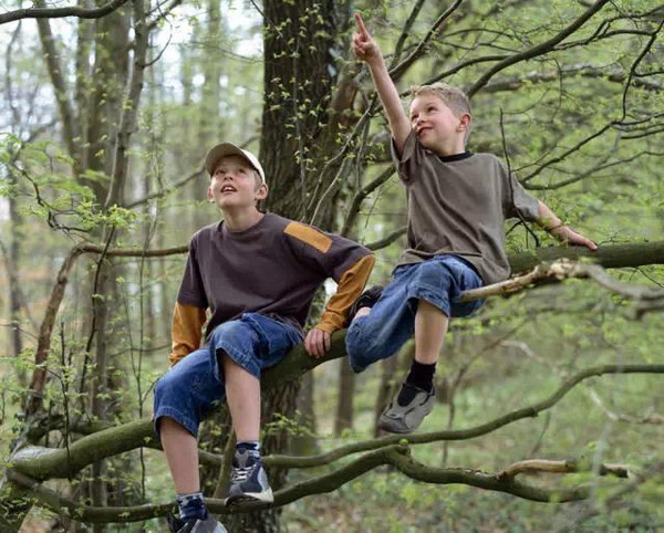 成都军训夏令营介绍野外生存必学的技能-爬树